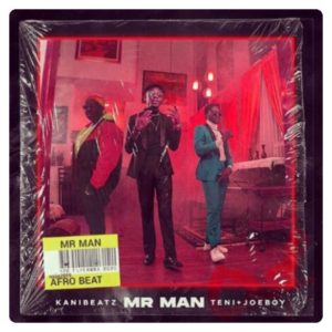 Teni x Kani Beatz x Joeboy - Mr Man