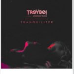 TroyBoi ft. Adekunle Gold - Tranquilizer