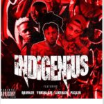 DavoLee - Indigenius ft Yomi Blaze, Limerick, Picazo