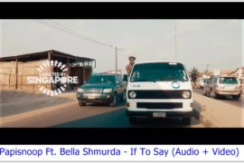 Papisnoop ft Bella Shmurda – If To Say (MP3 + Video)