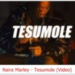 Naira Marley - Tesumole