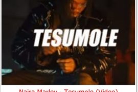 Naira Marley – Tesumole (Video)