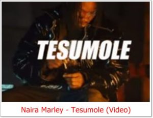 Naira Marley - Tesumole