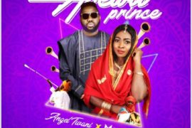 Angel Twani x Magnito – Arewa Prince (Mp3 Download)
