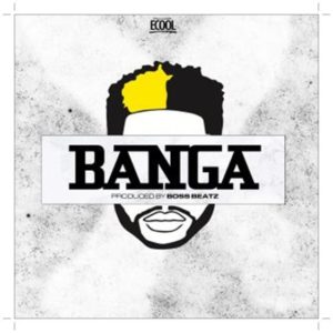 DJ ECool - Banga