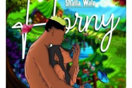 Shatta Wale – Horny (Mp3 Download)