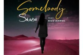 Skiibii ft Kizz Daniel – Somebody (Mp3 + Video)