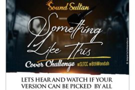Sound Sultan – Something Like This (Music)