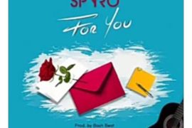 Spyro – For You (Mp3 Download)