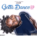 Naira Marley - Stupid Dance (Gotta Dance)