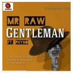 Download Mr Raw ft. Phyno Gentleman