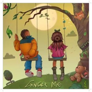 Rema's new music titled Ginger Me