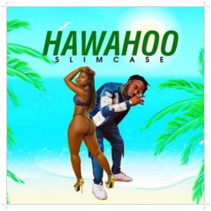 Slimcase Hawahoo (Mp3 Download)