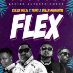 Terri x Bella Shmurda x Ceeza Milli ttled Flex