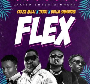 Terri x Bella Shmurda x Ceeza Milli ttled Flex