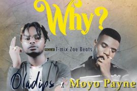 Oladips ft. Moyo Payne – Why (Mp3 Download)