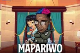 Zinoleesky – MaPariwo (Mp3 + Video)
