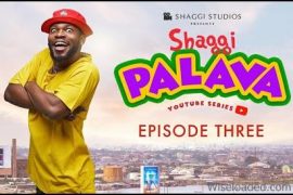 Broda Shaggi – Shaggi Palava Three (Video Download)