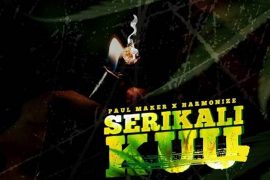 Paul Maker ft. Harmonize – Serikali Kuu (Mp3 Download)
