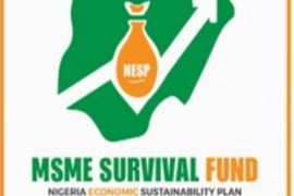 Survival Fund Registration: FG Opens The Portal, Apply Now