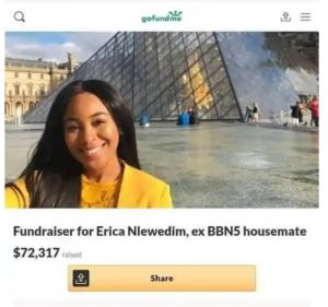 GoFundMe for Erica