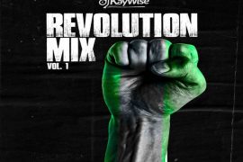 DJ Kaywise – Revolution Mix Vol. 1