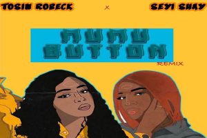 Tosin Robeck ft. Seyi Shay Mumu Button