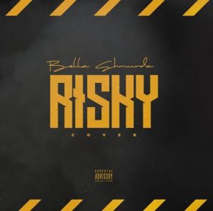 Bella Shmurda ft. Davido - Risky (Cover)