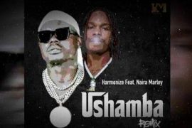 Harmonize ft. Naira Marley – Ushamba (Remix) [MP3+Video]