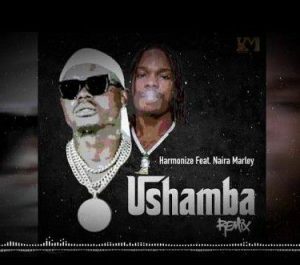 Harmonize ft. Naira Marley - Ushamba (Remix)