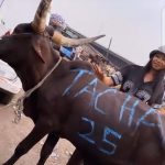 BBnaija: Tacha Gets Herself A Customized Cow To Celebrate Her 25th Birthday (Video)