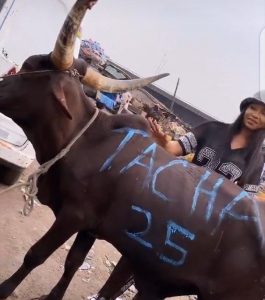 BBnaija: Tacha Gets Herself A Customized Cow To Celebrate Her 25th Birthday (Video)