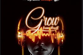 MIXTAPE: DJ Fanes – Grow From Street Vol.1 Mix