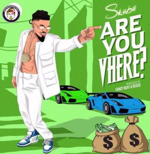 Skiibii - Are You Vhere (Mp3 Download)