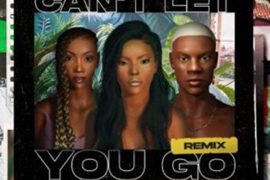 Stefflon Don – Can’t Let You Go (Remix) ft. Rema, Tiwa Savage