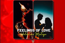 DJ Fanes – Valentine Party Mix (Feeling Of Love)