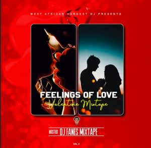 DJ Fanes - Valentine Party Mix (Feeling Of Love)