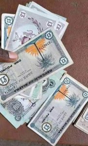 Biafra Currency pounds note