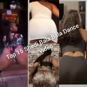 VIDEO: Top 15 "Shedi Bala Bala" Challenge #ShediBalaBala