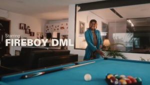 Fireboy DML - Lifestyle (Video)