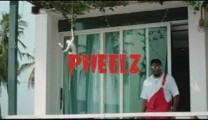 Pheelz - Somebody (Video Download)