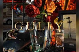 Gully (Original Motion Picture Soundtrack) By 21 Savage, Dua Lipa & More