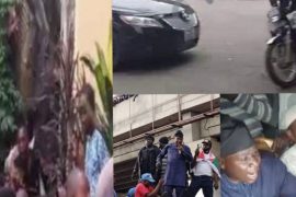Sunday Igboho Jumps Over The Fence As Ewi Of Ado-Ekiti Refuses Entrance Into The Palace (Video)