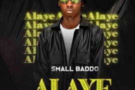 Small Baddo – Alaye