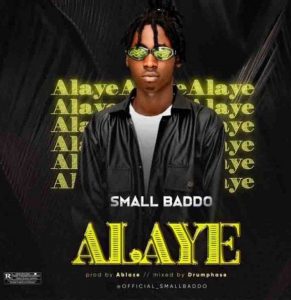 Small Baddo - Alaye (Mp3 Download)