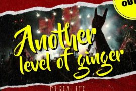 MIXTAPE: DJ Real ICE – Another Level Of Ginger Mix