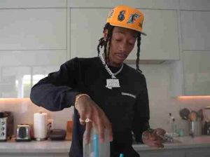 Wiz Khalifa - Ski Weedmix (Mp3 Download)