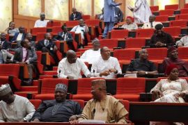 Nigerian Legislature Approves Bill To Create State Police, Regional Security Outfits