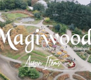 Magnito ft. Bovi - Magiwood (Mp3 Download)