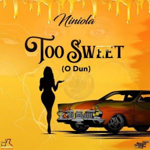 DOWNLOAD MP3: Niniola Too Sweet (O Dun)